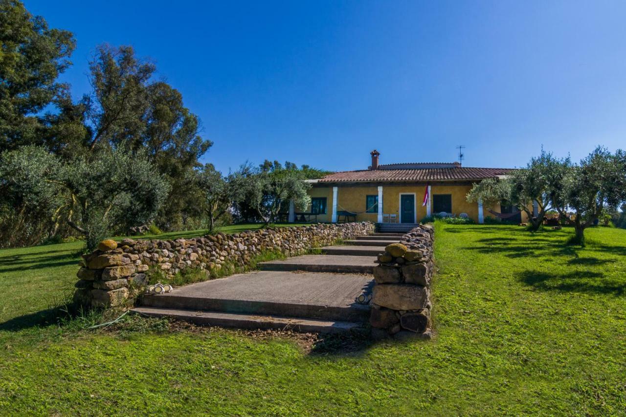 A Villa Ada b&b Arborea Dış mekan fotoğraf